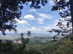 -大奇山国家森林公园