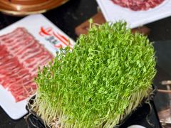 -常赢三兄弟·清真涮肉(崂山路总店)