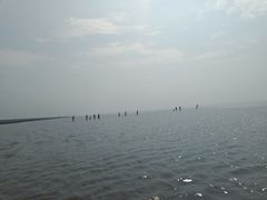 -南汇嘴观海公园