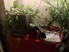 -HIGH FIVE哈福手工汉堡(桂林路店)