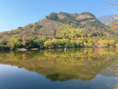 -芳草地度假酒店·野炉中餐厅