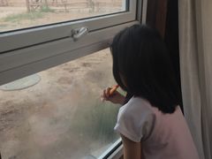 -哈素海