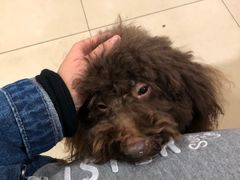 -苏州藏书羊肉馆