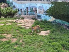 -西霞口神雕山野生动物世界