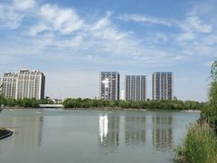 -南翔镇银翔湖公园
