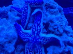 -北戴河圣蓝海洋公园