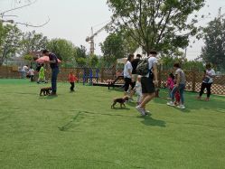 -萌宠亲子动物乐园(槐房万达店)