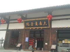 -大唐贡茶院
