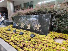 -同济大学附属口腔医院