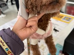 -美联众合动物医院·24h京西诊疗中心