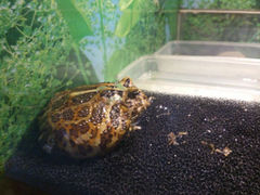 android_upload_pic-上海大自然野生昆虫馆