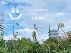 -Supine Bistro溯泮餐厅