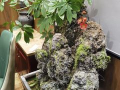 -杏花村水席楼·洛阳水席(老城十字街店)