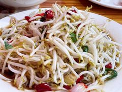 炒豆芽-三中高皇羊肉馆
