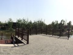 -武清南湖绿博园