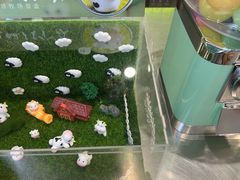 -迷客夏Milksha(圆融天幕店)
