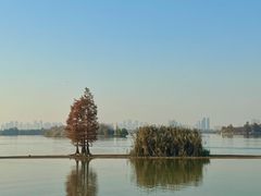 -东湖落雁景区