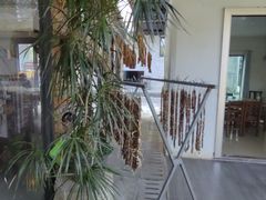 -罗浮山·罗园农庄