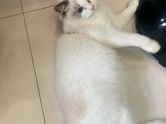 -猫遇摄影工作室