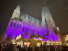 -斯蒂芬主教座堂(Stephansdom)