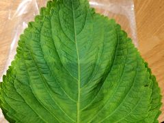 -新石器烤肉(无锡万象城店)