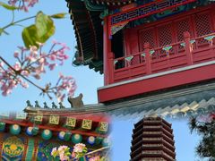 -西海子公园