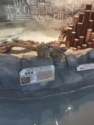 -Zoolung Zoolung动物主题公园(海信广场店)