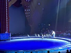 -珠海横琴长隆《卡卡虎奇遇记》