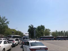 -白洋淀景区