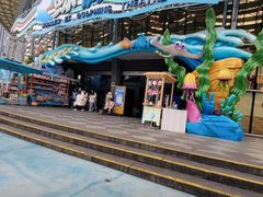 -海合安成都极地海洋公园