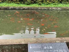 -宁波市保国寺古建筑博物馆