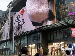 -合景·悠方(成都店)