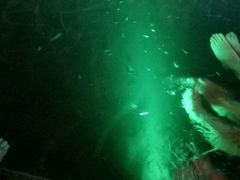 -宝丽金大酒店·洗浴中心