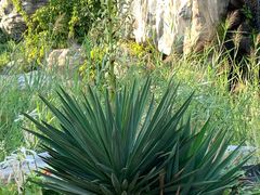 -武清南湖绿博园