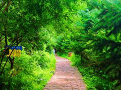 -帽儿山风景区