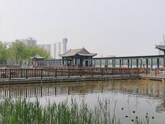 -莲花池公园