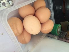 美特好超市(肖墙路店-1105)-神农美特好生鲜超市(三墙店)