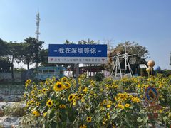 -光明农场大观园