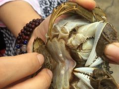 -乡乐园蟹庄·阳澄湖农家乐