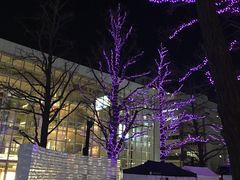 -北海道厅旧本厅舍(旧本庁舎)