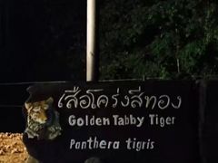 -清迈夜间动物园