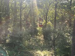-WeLope紫金山探险公园