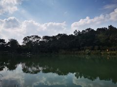 -金陵矩阵(聚宝山公园店)