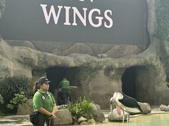 -新加坡飞禽公园