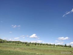 -乌兰布统草原