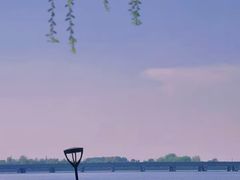 -丁香湖公园