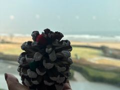 -青岛朗艺美术馆·海景咖啡