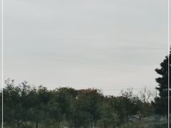 -文成城堡