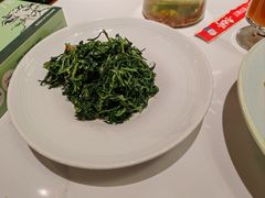 红果枸杞苗-清真·宁夏印象·盐池滩羊肉体验店(江宁路店)