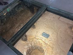 -南越王博物院(王宫展区)